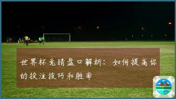 世界杯竞猜盘口解析：如何提高你的投注技巧和胜率