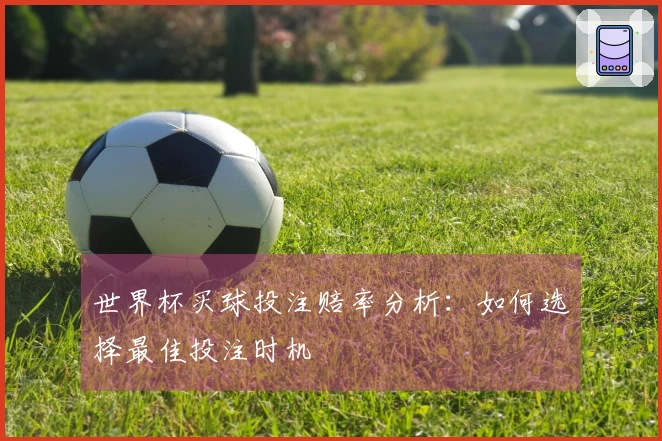 世界杯买球投注赔率分析：如何选择最佳投注时机