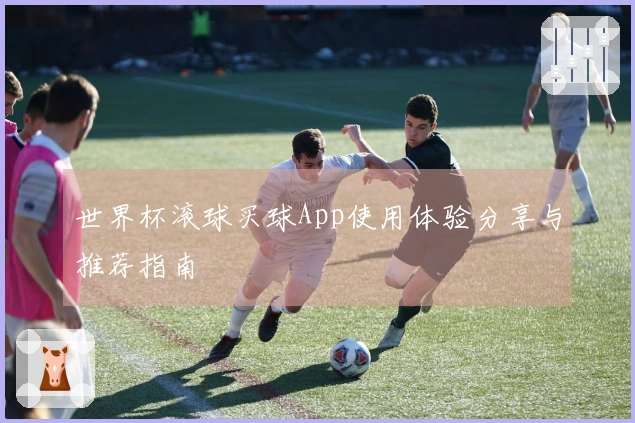世界杯滚球买球App使用体验分享与推荐指南