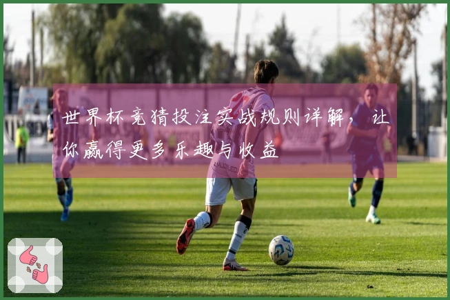 世界杯竞猜投注实战规则详解，让你赢得更多乐趣与收益