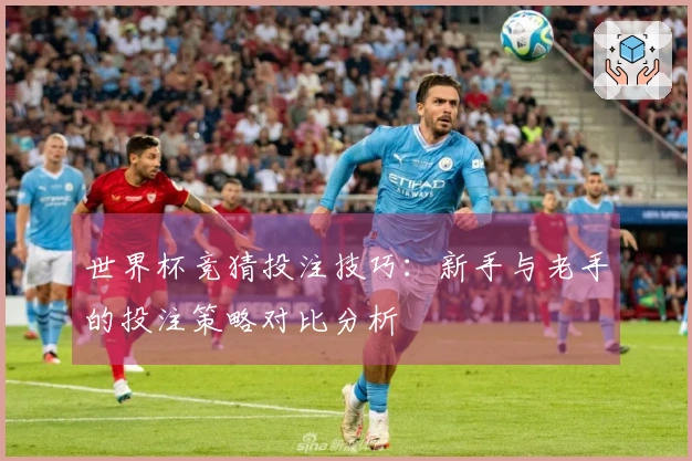世界杯竞猜投注技巧：新手与老手的投注策略对比分析